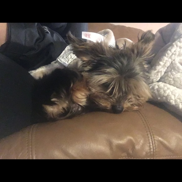 Welcome - Picture 6 of 8